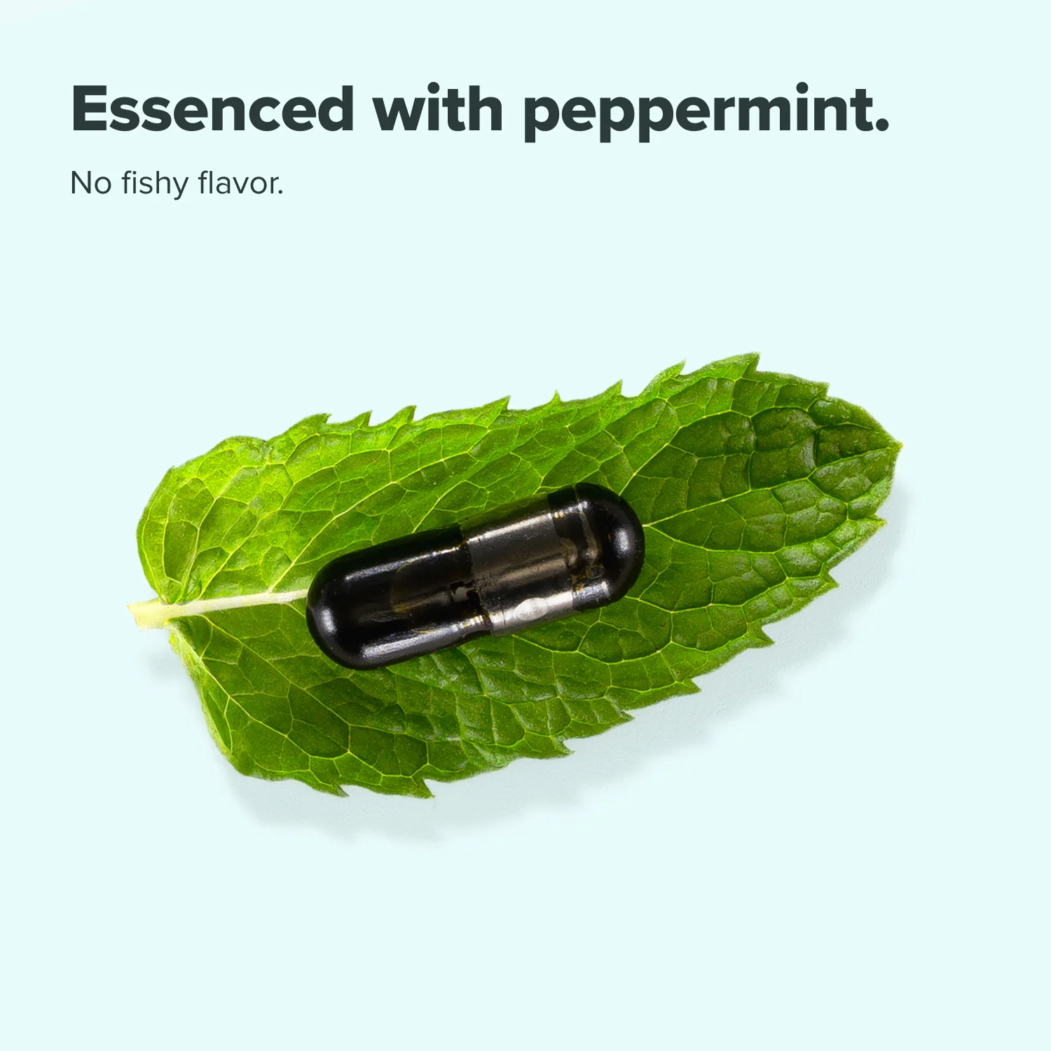 COMPLEMENT® Essential - Image 7